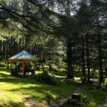 Oświetlenie altany – sprawdź pomysły na oświetlenie altany ogrodowej