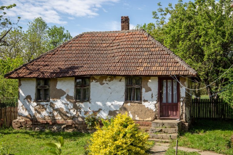 Grzyb w domu – jak skutecznie go zwalczyć?